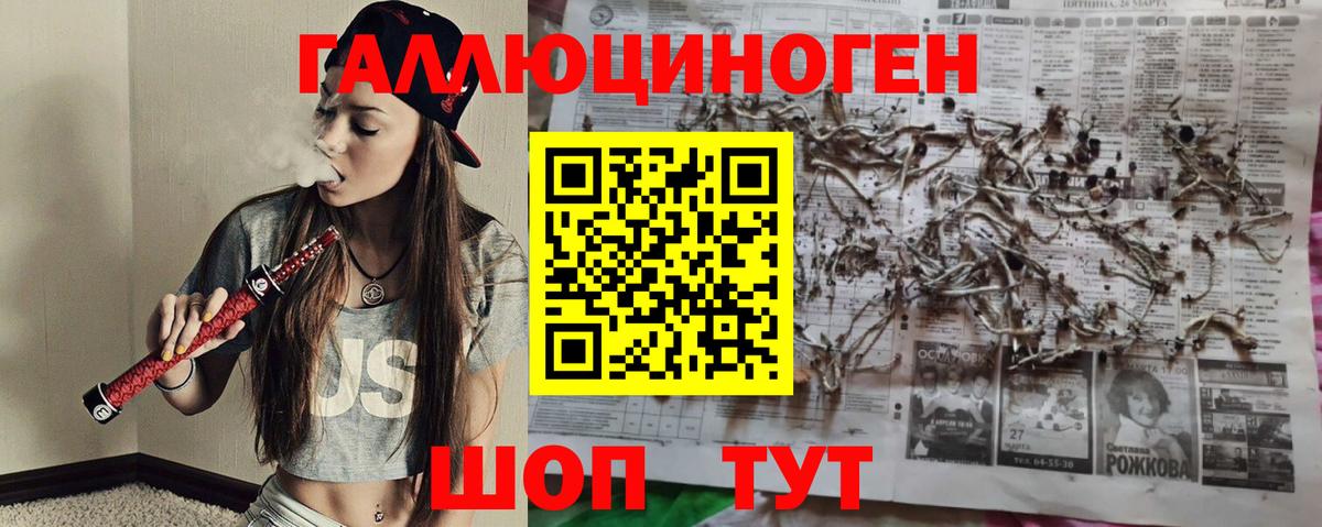 магазин  наркотиков  Галлюциногенные грибы Cubensis  Вход с VPN  Камень-на-Оби 